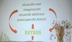 Foto de la galería: Cuerpo, mente y emociones: se realizó la Charla sobre Medicina del Estrés en Posadas