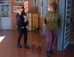 Foto de la galería: Paso 2023: postales del domingo electoral en la ciudad