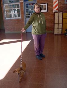 Foto de la galería: Paso 2023: postales del domingo electoral en la ciudad