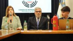 Foto de la galería: Presupuesto 2024: Industria y Tribunal Electoral acompañaron el debate en la Legislatura