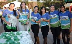 Foto de la galería: Maratón Posadas Futura: más de 650 corredores coparon al trote la ciudad