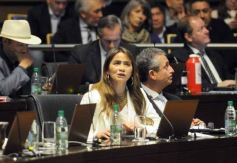 Foto de la galería: Diputados aprueban leyes: Misiones avanza en la conservación ambiental, salud y cultura