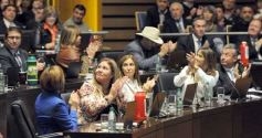 Foto de la galería: Diputados aprueban leyes: Misiones avanza en la conservación ambiental, salud y cultura