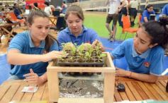Foto de la galería: Mundial de Robótica: talentos del país definieron el pase a la final en Posadas