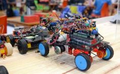 Foto de la galería: Mundial de Robótica: talentos del país definieron el pase a la final en Posadas