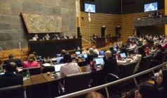 Foto de la galería: Legislatura: salud y producción, marco de las leyes en la última sesión del año