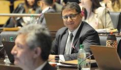 Foto de la galería: Legislatura: salud y producción, marco de las leyes en la última sesión del año