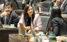 Foto de la galería: Legislatura: salud y producción, marco de las leyes en la última sesión del año