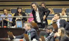 Foto de la galería: Legislatura: salud y producción, marco de las leyes en la última sesión del año