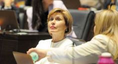 Foto de la galería: Legislatura: salud y producción, marco de las leyes en la última sesión del año