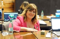 Foto de la galería: Legislatura: salud y producción, marco de las leyes en la última sesión del año