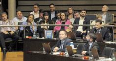 Foto de la galería: Legislatura: salud y producción, marco de las leyes en la última sesión del año