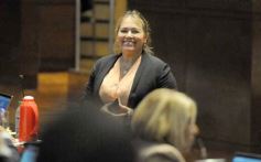 Foto de la galería: Legislatura: salud y producción, marco de las leyes en la última sesión del año