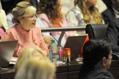 Foto de la galería: Legislatura: salud y producción, marco de las leyes en la última sesión del año