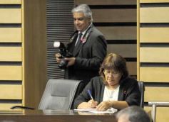 Foto de la galería: Legislatura: salud y producción, marco de las leyes en la última sesión del año