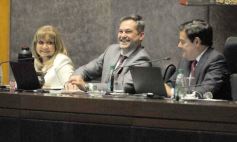 Foto de la galería: Legislatura: salud y producción, marco de las leyes en la última sesión del año