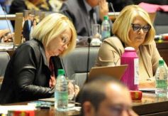 Foto de la galería: Legislatura: salud y producción, marco de las leyes en la última sesión del año