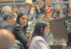 Foto de la galería: Legislatura: salud y producción, marco de las leyes en la última sesión del año