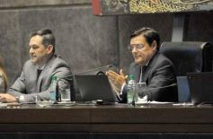 Foto de la galería: Legislatura: salud y producción, marco de las leyes en la última sesión del año