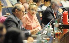 Foto de la galería: Legislatura: salud y producción, marco de las leyes en la última sesión del año