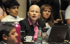 Foto de la galería: Legislatura: salud y producción, marco de las leyes en la última sesión del año