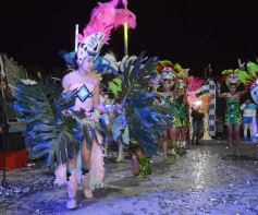 Foto de la galería: Show de Scolas: postales de lo que fue una total fiesta en la última noche de estudiantina