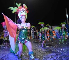 Foto de la galería: Show de Scolas: postales de lo que fue una total fiesta en la última noche de estudiantina