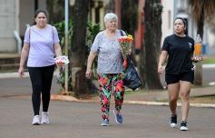 Foto de la galería: Las primeras de noviembre: trabajo, recorridas y más del varieté en la ciudad
