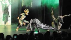 Foto de la galería: Premios Arandú 2023: la ciudad reconoció a exponentes de la cultura local