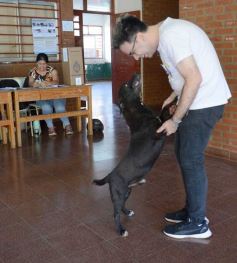 Foto de la galería: Balotaje 2023: con buen tiempo de por medio, el folclore electoral se vivió a pleno en la ciudad