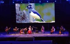 Foto de la galería: 54° Festival del Litoral: con el Chango Spasiuk y otros consagrados, la fiesta popular abrió la 1ra noche