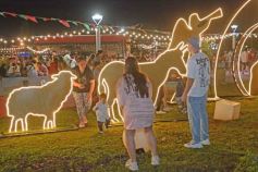 Foto de la galería: Parque de las Fiestas: se encendió el arbolito y la Navidad ya se prepara con alegría familiar en la ciudad