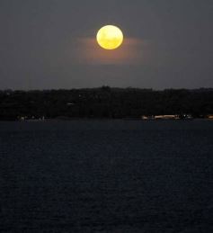 Foto de la galería: Tarde de disfrute en Costa Sur: el modo verano en la ciudad suma playa, recreación y descanso a orillas del Paraná