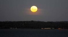Foto de la galería: Tarde de disfrute en Costa Sur: el modo verano en la ciudad suma playa, recreación y descanso a orillas del Paraná