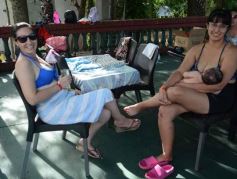 Foto de la galería: 2024 en el Club IPLyC: día de pileta y disfrute familiar en el comienzo del año para los posadeños