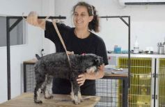 Sixto Fotografías. Sociedad. Varios -  Tarde de spa y peluquería canina: en la lista de salidas de los más mascoteros en la ciudad