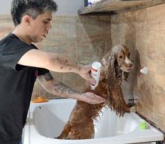 Foto de la galería:  Tarde de spa y peluquería canina: en la lista de salidas de los más mascoteros en la ciudad