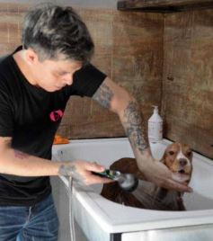 Foto de la galería:  Tarde de spa y peluquería canina: en la lista de salidas de los más mascoteros en la ciudad