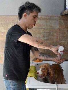 Foto de la galería:  Tarde de spa y peluquería canina: en la lista de salidas de los más mascoteros en la ciudad