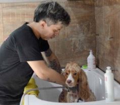 Foto de la galería:  Tarde de spa y peluquería canina: en la lista de salidas de los más mascoteros en la ciudad
