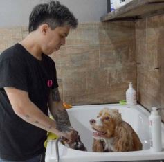 Foto de la galería:  Tarde de spa y peluquería canina: en la lista de salidas de los más mascoteros en la ciudad