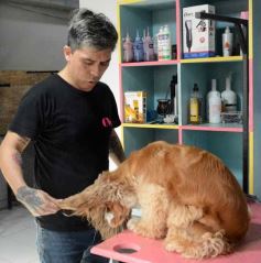 Foto de la galería:  Tarde de spa y peluquería canina: en la lista de salidas de los más mascoteros en la ciudad