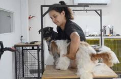 Foto de la galería:  Tarde de spa y peluquería canina: en la lista de salidas de los más mascoteros en la ciudad