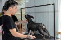 Foto de la galería:  Tarde de spa y peluquería canina: en la lista de salidas de los más mascoteros en la ciudad