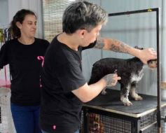 Foto de la galería:  Tarde de spa y peluquería canina: en la lista de salidas de los más mascoteros en la ciudad