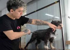 Foto de la galería:  Tarde de spa y peluquería canina: en la lista de salidas de los más mascoteros en la ciudad