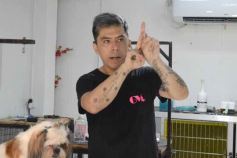 Foto de la galería:  Tarde de spa y peluquería canina: en la lista de salidas de los más mascoteros en la ciudad