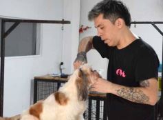 Foto de la galería:  Tarde de spa y peluquería canina: en la lista de salidas de los más mascoteros en la ciudad