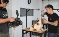 Foto de la galería:  Tarde de spa y peluquería canina: en la lista de salidas de los más mascoteros en la ciudad