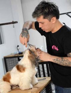 Foto de la galería:  Tarde de spa y peluquería canina: en la lista de salidas de los más mascoteros en la ciudad